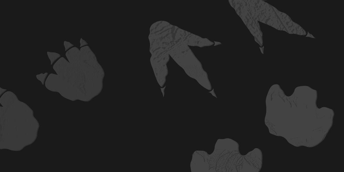 Goodbye Data Dinosaurs: The evolution of data management in capital markets