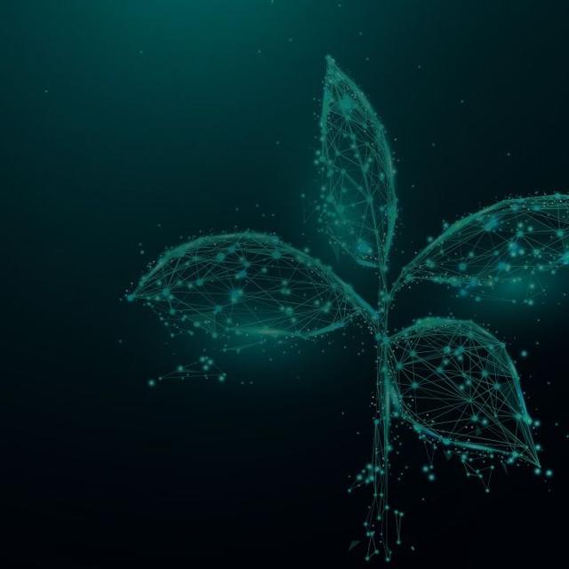 How can insurers stay ahead as ESG reporting evolves?