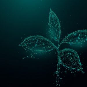 How can insurers stay ahead as ESG reporting evolves?